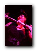 Gypsy_charms1_PC_lorrainne_ross.jpg